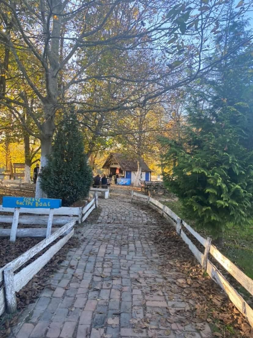 Apartman Lavanda Banja Koviljaca Exterior photo